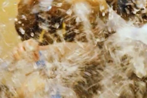 成功拿下總冠軍后，大家在更衣室用一場特別的狂歡慶祝榮耀時刻！