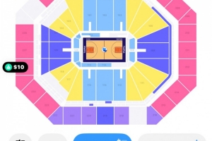 離譜！WNBA總決賽G3最低票價僅需10美元！