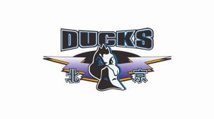 趙睿談加盟北京的原因：球隊有底蘊 我也想去有競爭力的球隊