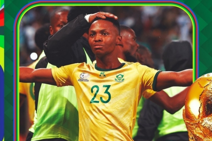 世界杯已定23席：南非晉級世界杯，非洲區(qū)僅剩2席