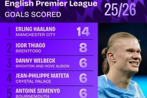 本賽季英超進球榜：哈蘭德14球居首，維爾貝克、姆伯莫在列
