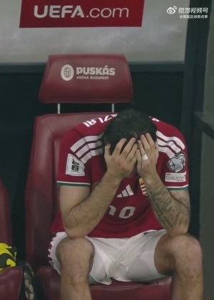 世界杯夢(mèng)碎??遭愛爾蘭絕殺，匈牙利隊(duì)長(zhǎng)索博斯洛伊賽后痛哭